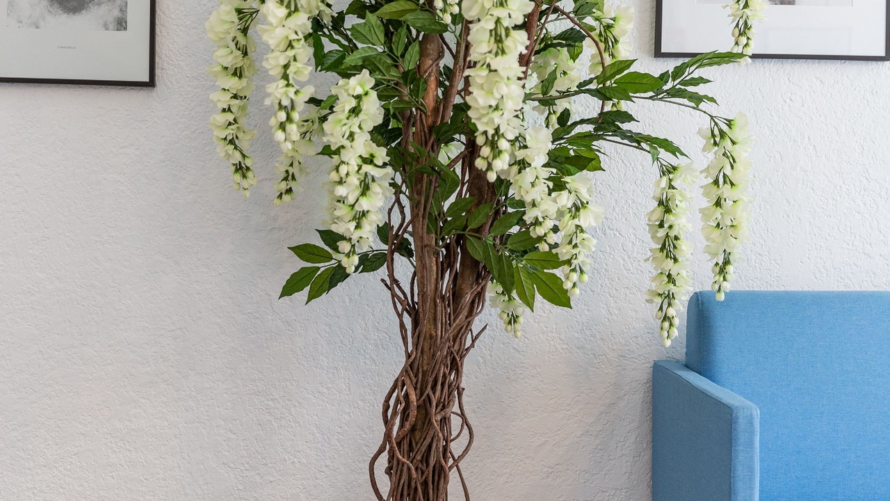 Photo of Others in Gambetta