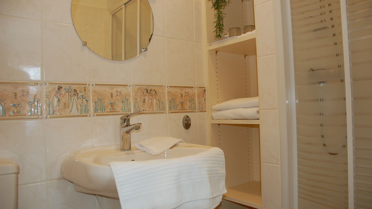 Photo of Bathroom in Bourbon-Lancy