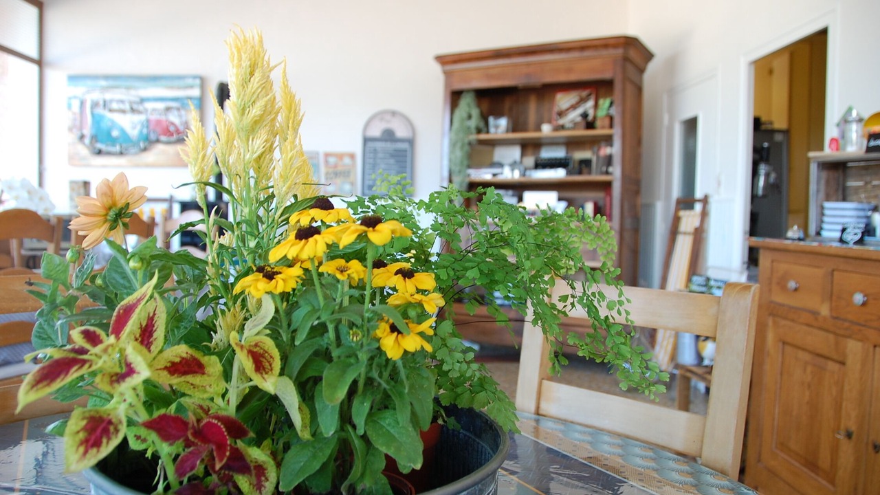 Photo of Others in Bourbon-Lancy