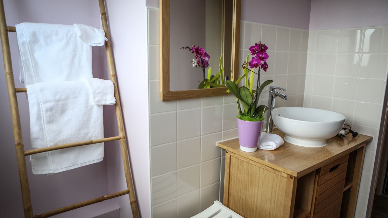 Photo of Bathroom in Bourbon-Lancy