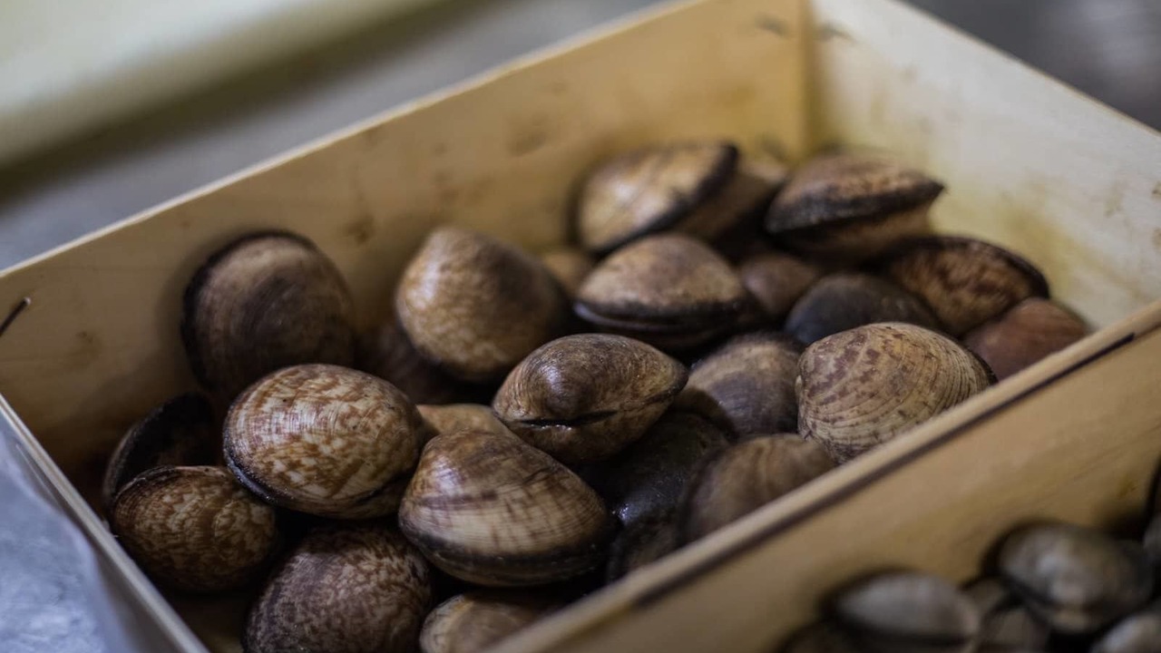 Photo of Others in Saintes-Maries-de-la-Mer