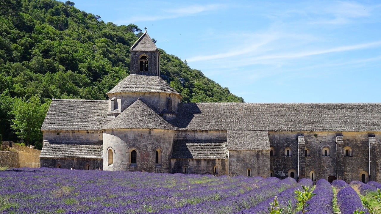 Photo of Others in Avignon