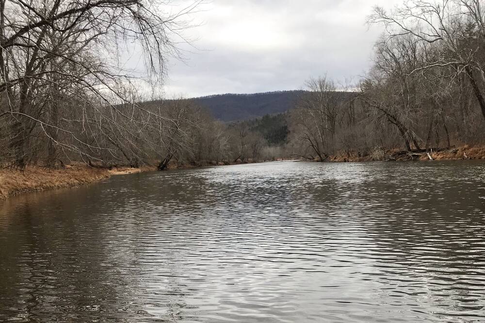 Photo of Others in Great Cacapon