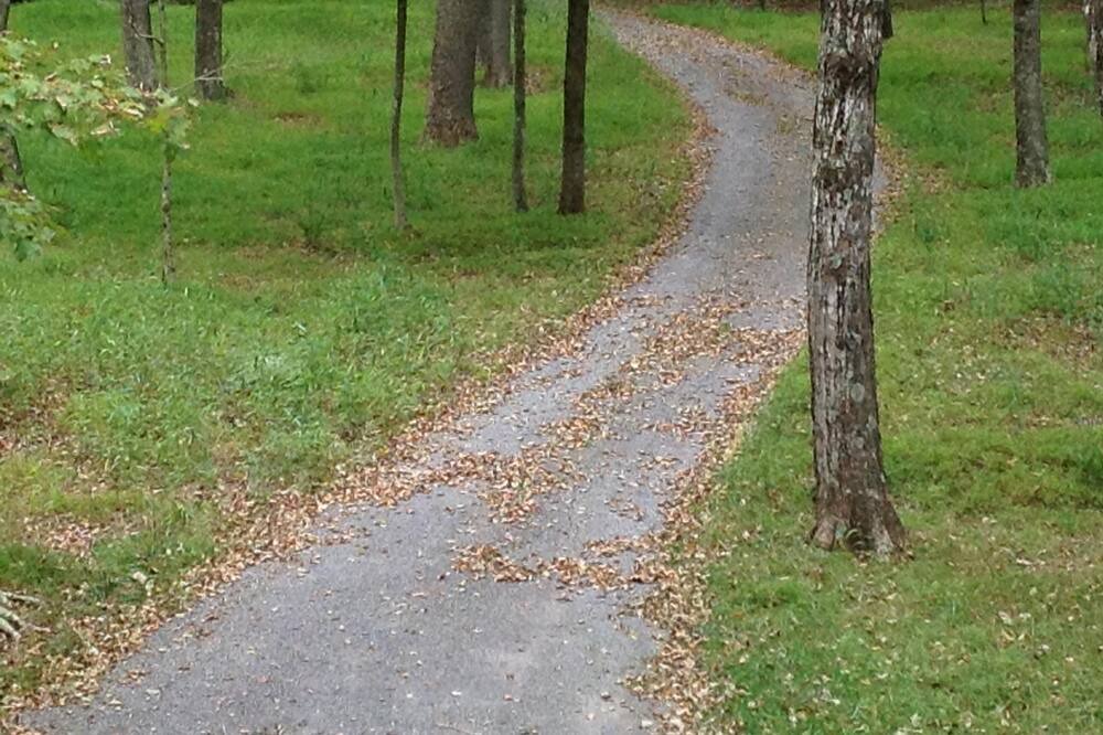 Photo of Outdoor in Great Cacapon