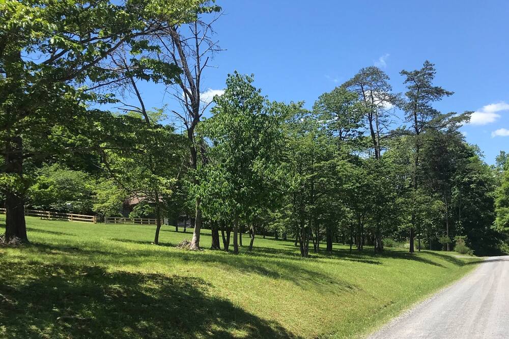 Photo of Outdoor in Great Cacapon