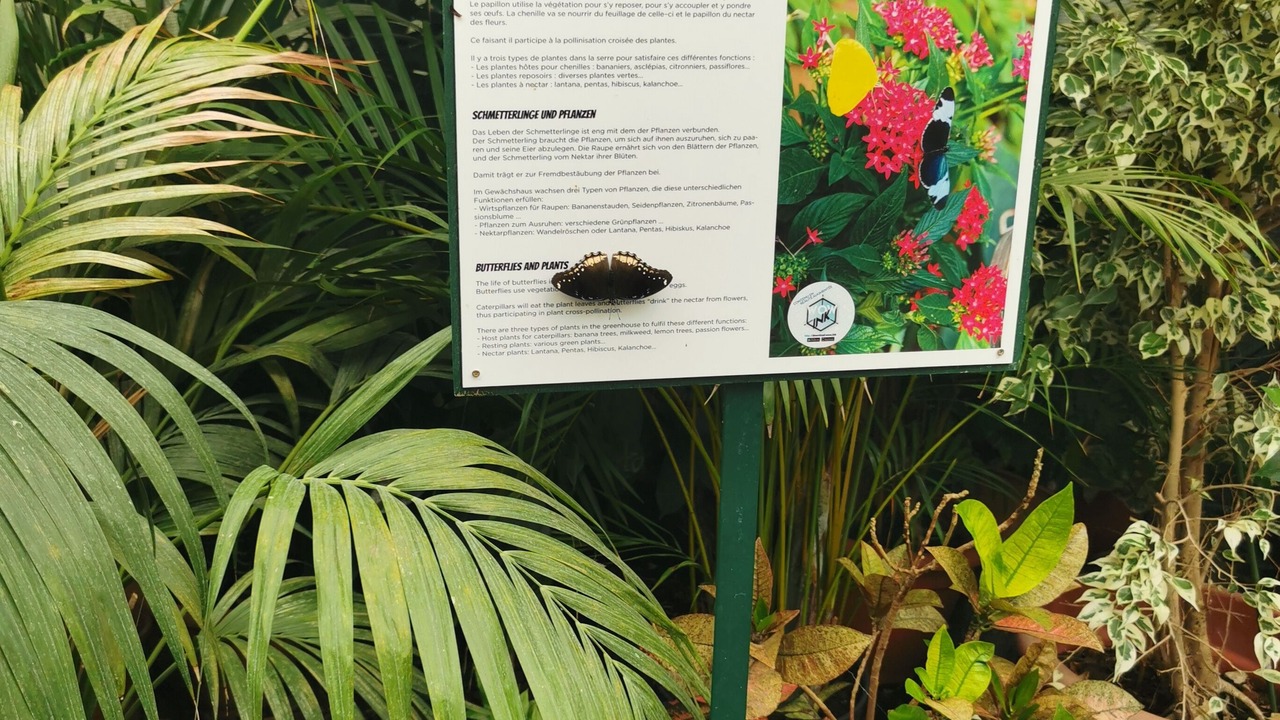 Photo of Outdoor in Nothalten