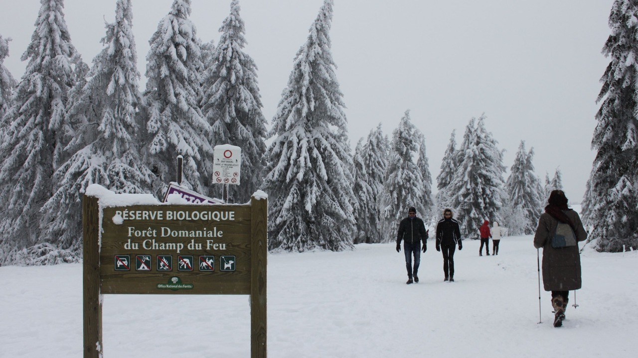 Photo of Others in Nothalten