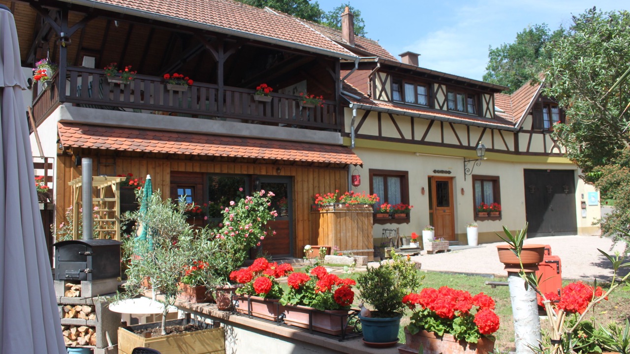 Photo of Outdoor in Nothalten