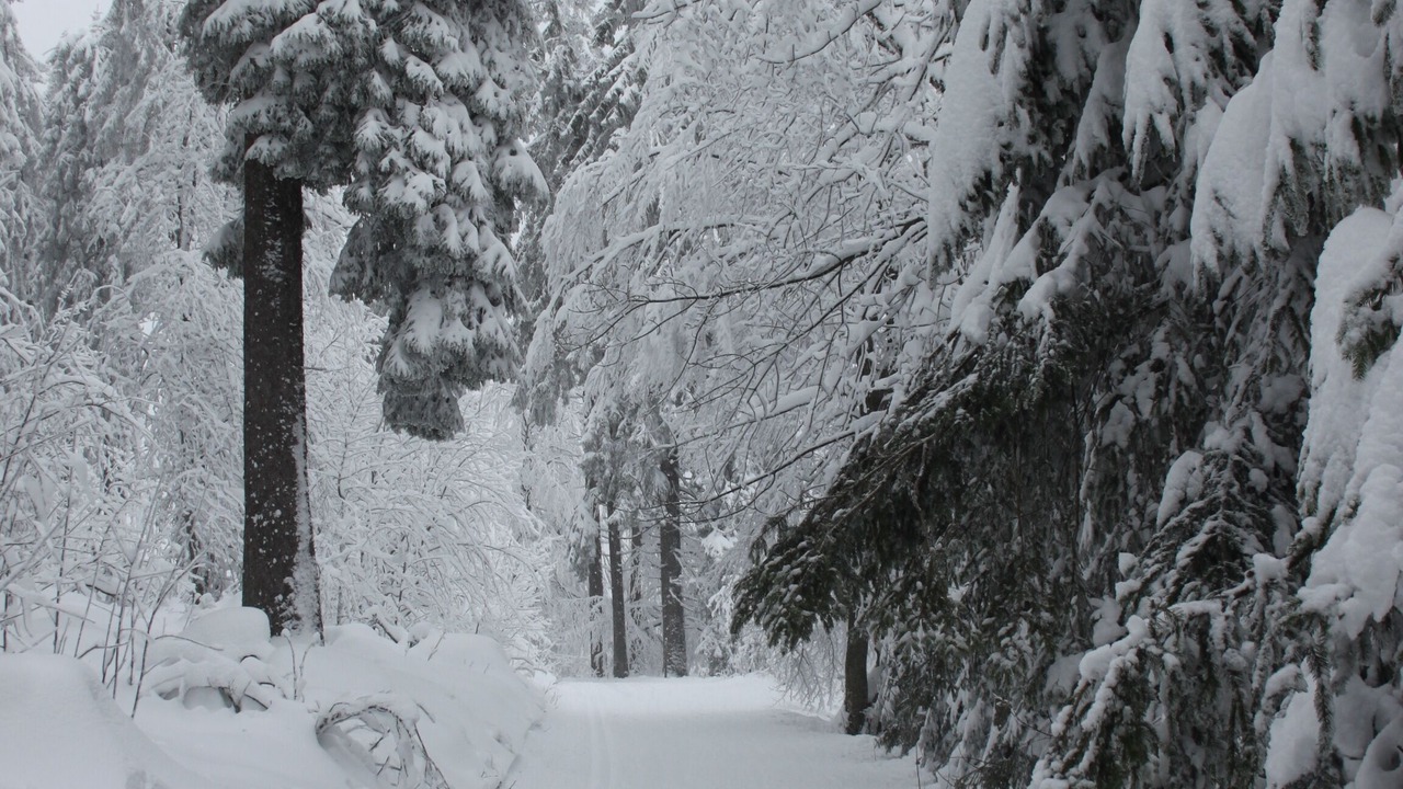 Photo of Outdoor in Nothalten