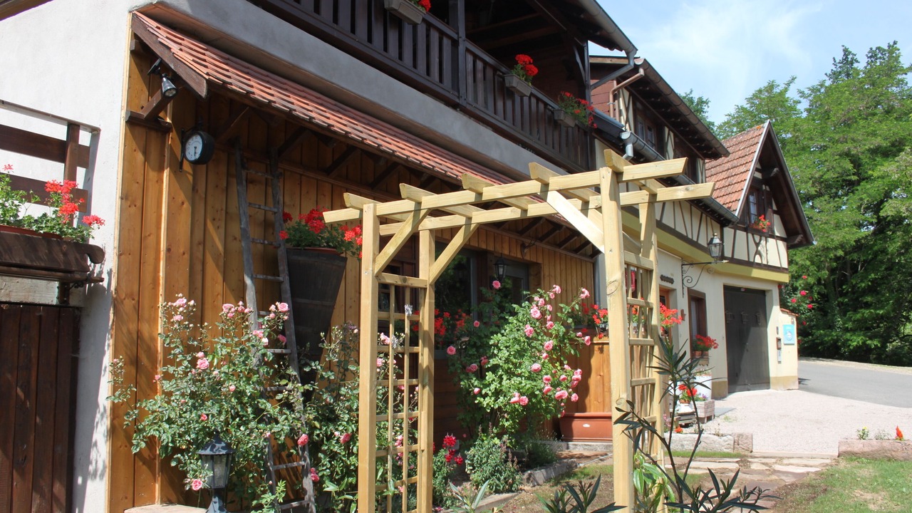 Photo of Outdoor in Nothalten