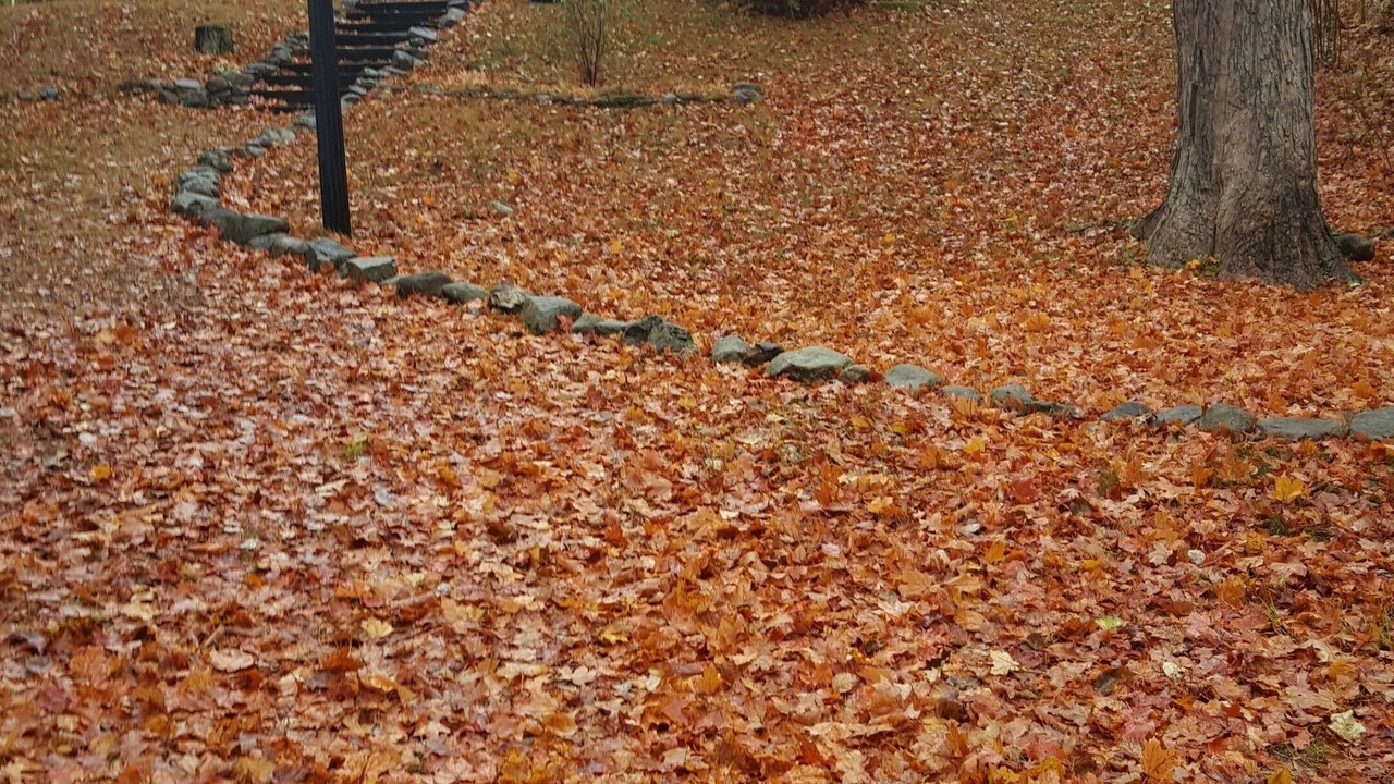 Photo of Outdoor in Olmstedville