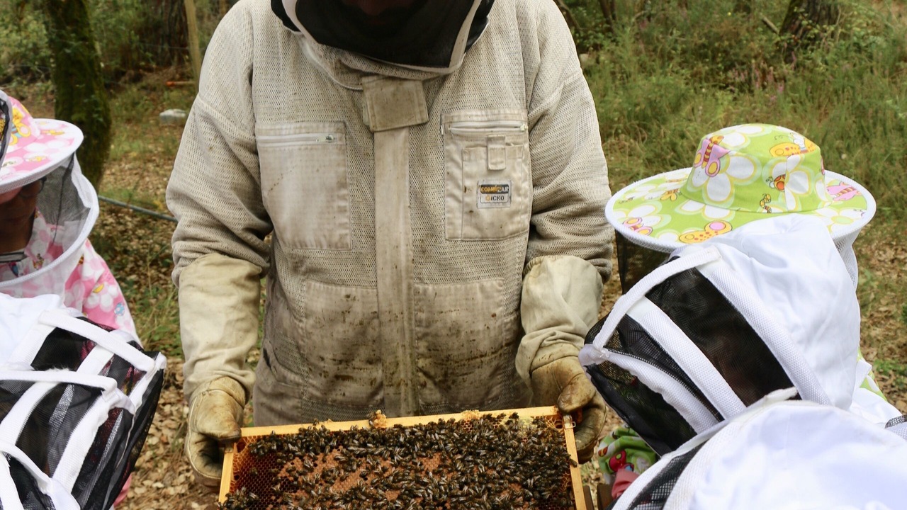 Photo of Others in Ondres