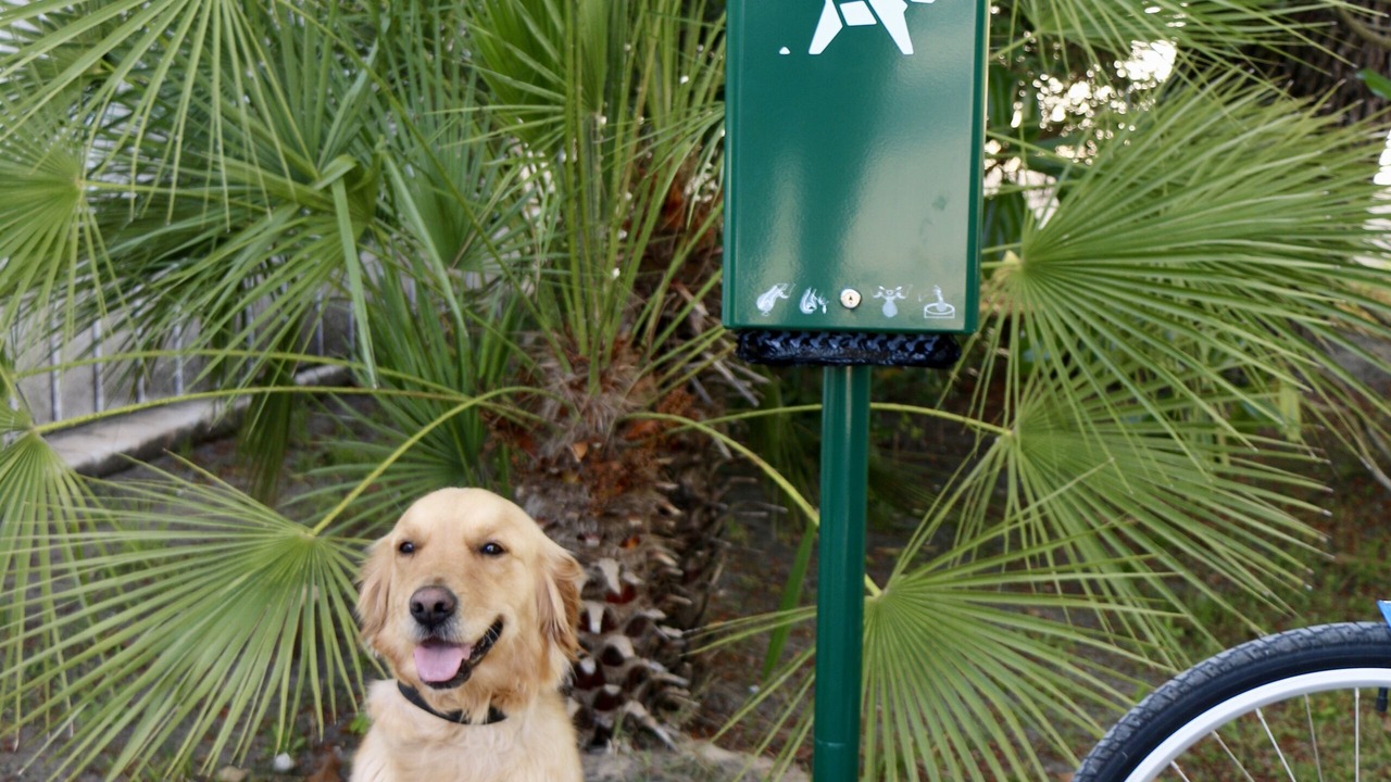 Photo of Others in Ondres