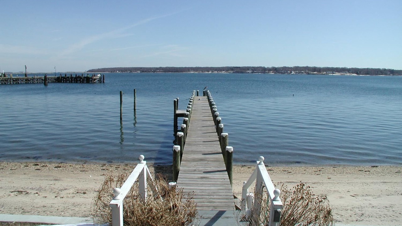 Photo of Others in Pipes Cove