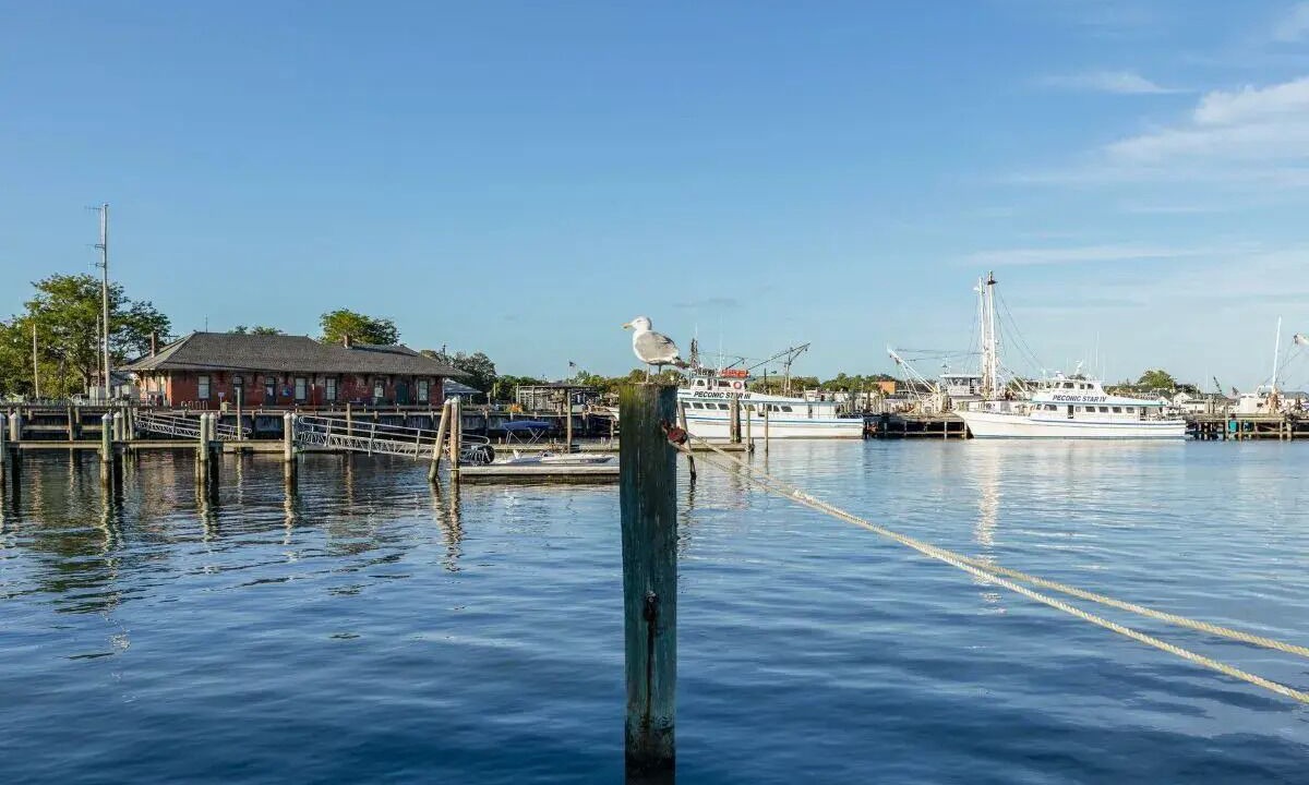 Photo of Outdoor in Pipes Cove