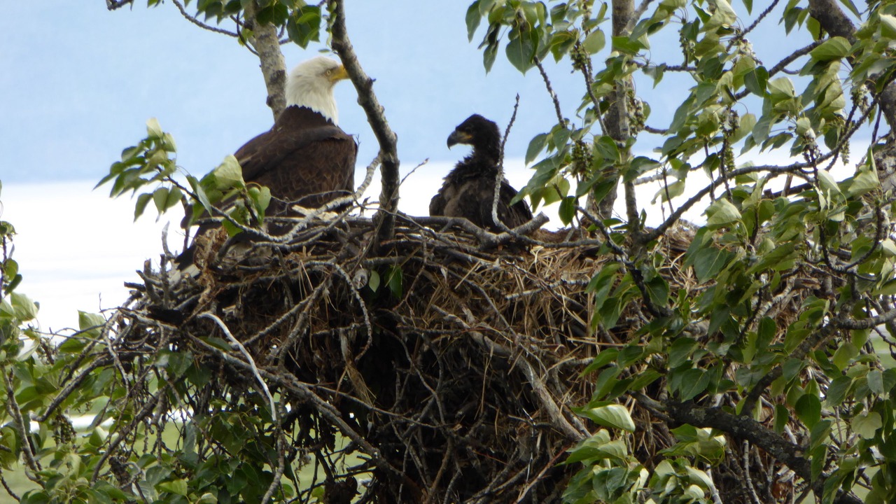 Photo of Others in Bear Creek