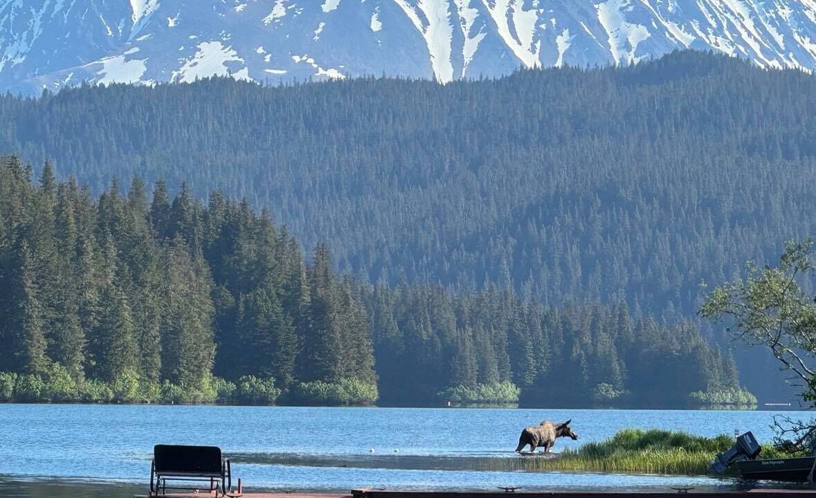 Photo of Others in Bear Creek