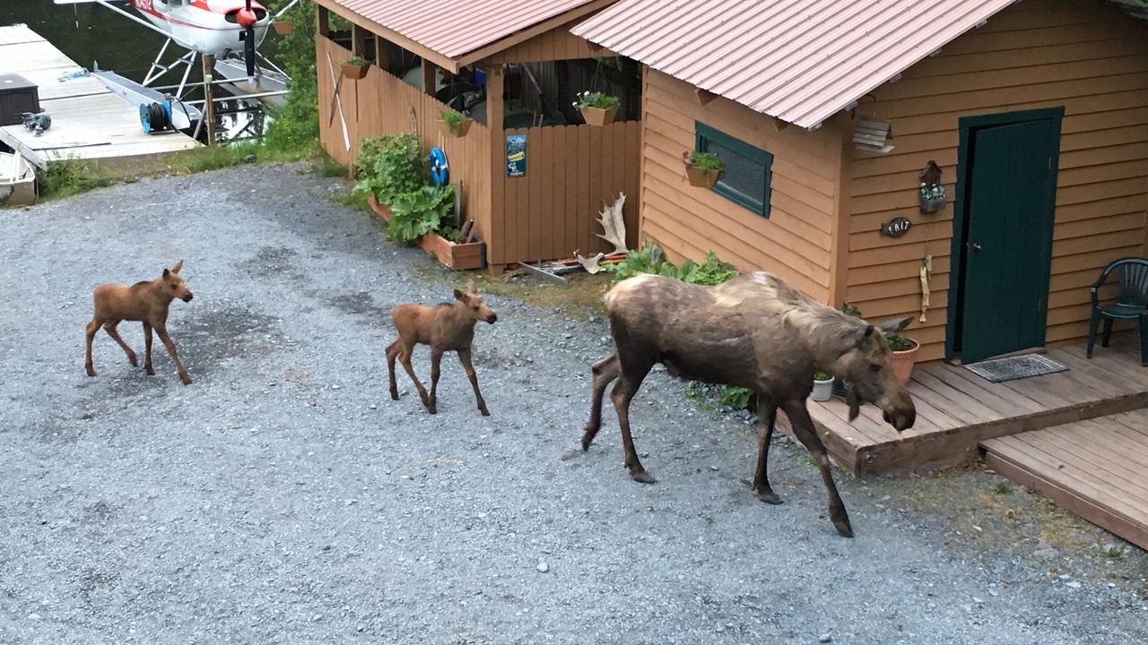 Photo of Others in Bear Creek