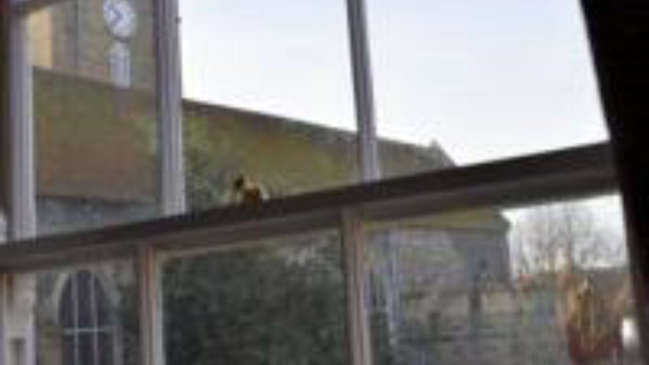 Photo of Others in Sandwich