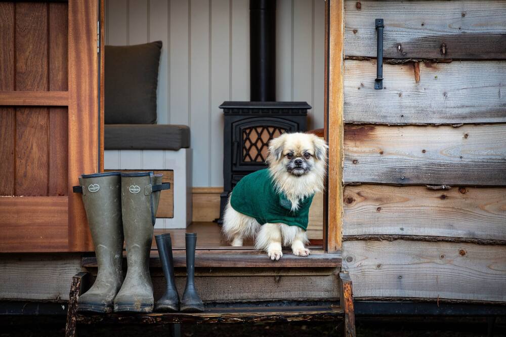 Photo of Others in Woodlands