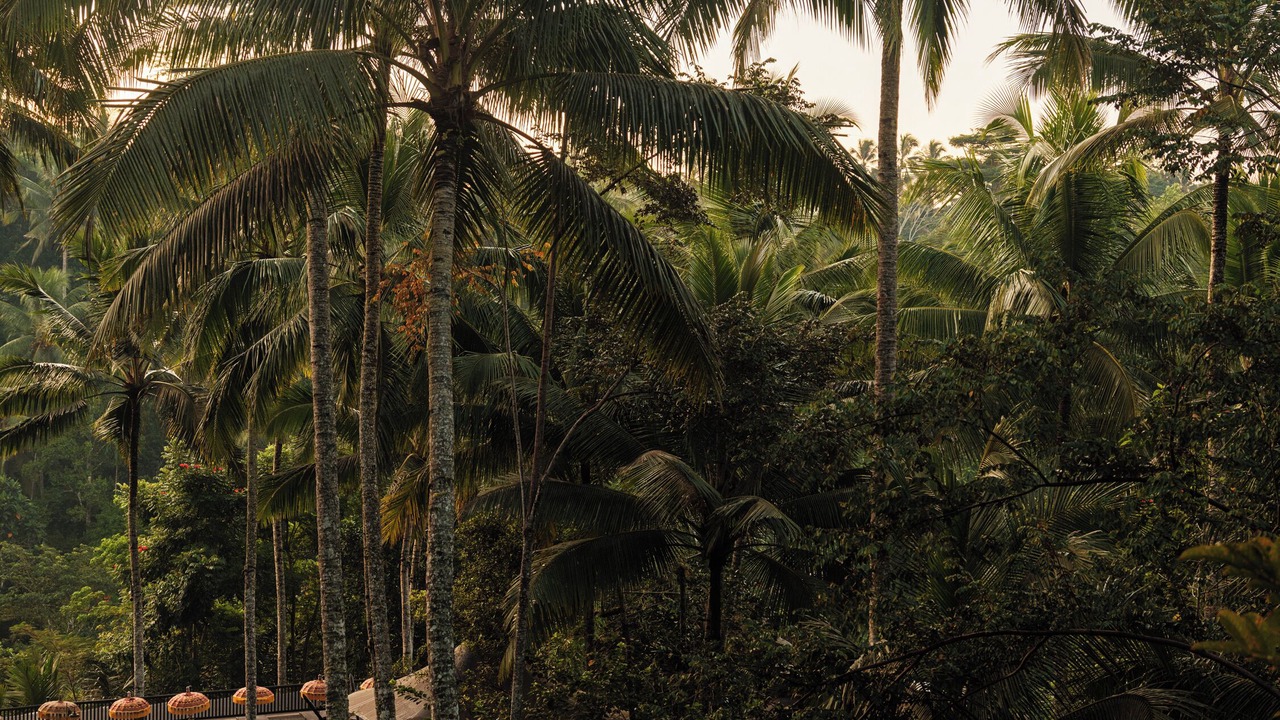 Photo of Outdoor in Sambahan