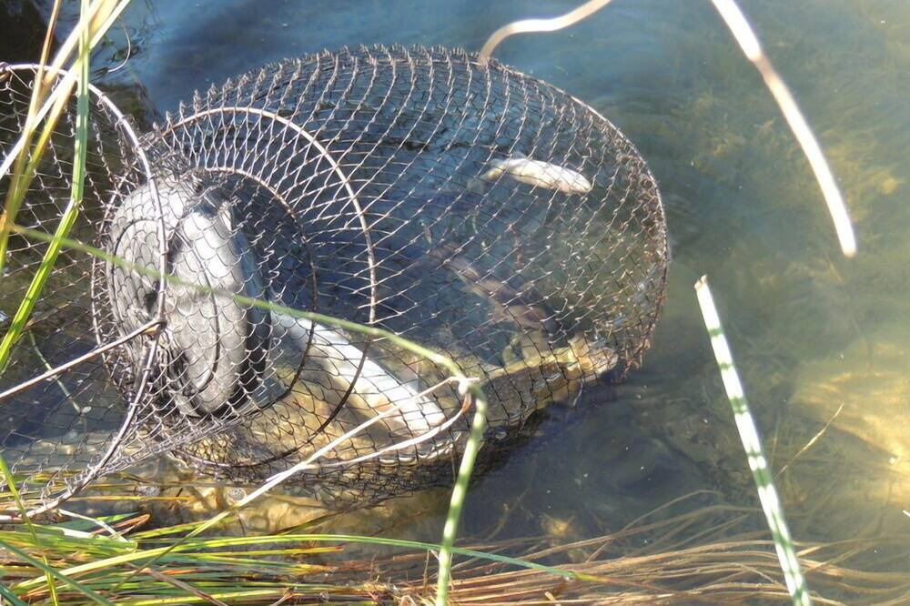Photo of Others in Glen Huron