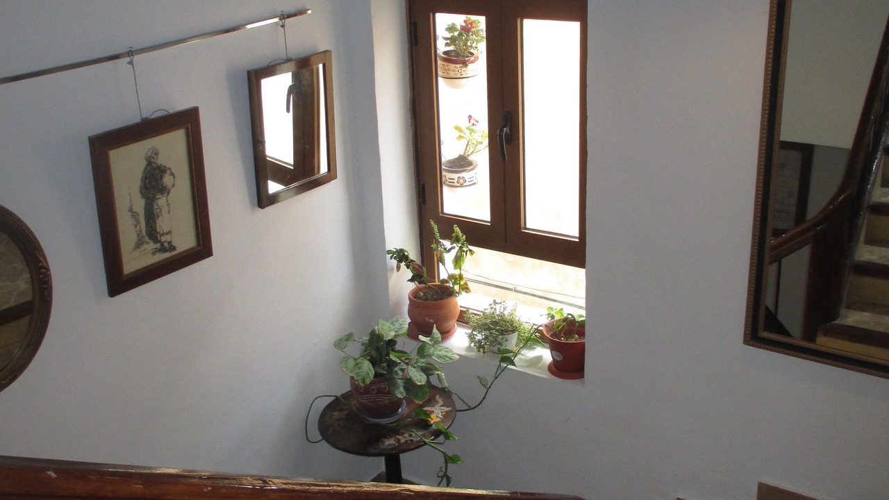 Photo of Others in Villena