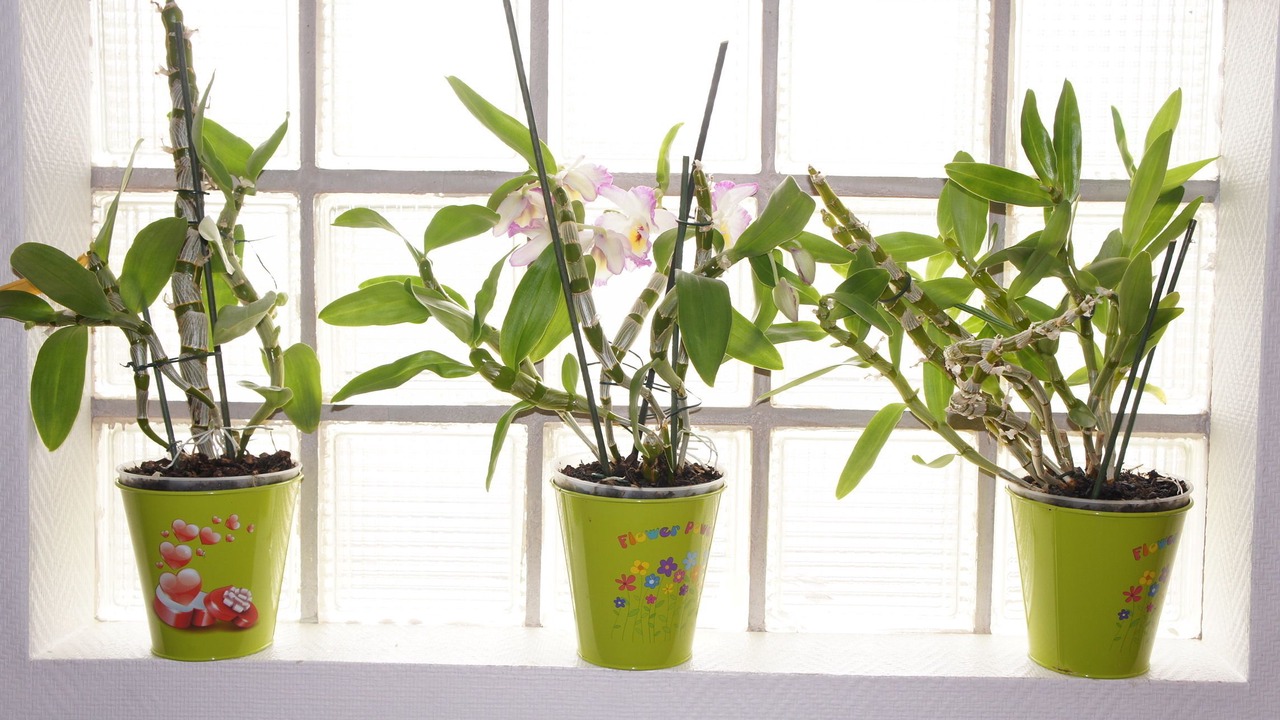 Photo of Others in Germigny-des-Pres