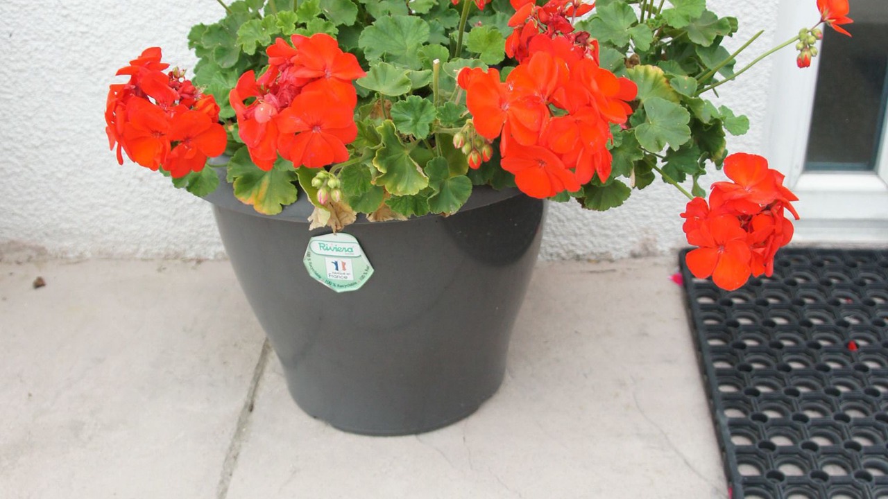 Photo of Patio Balcony in Germigny-des-Pres