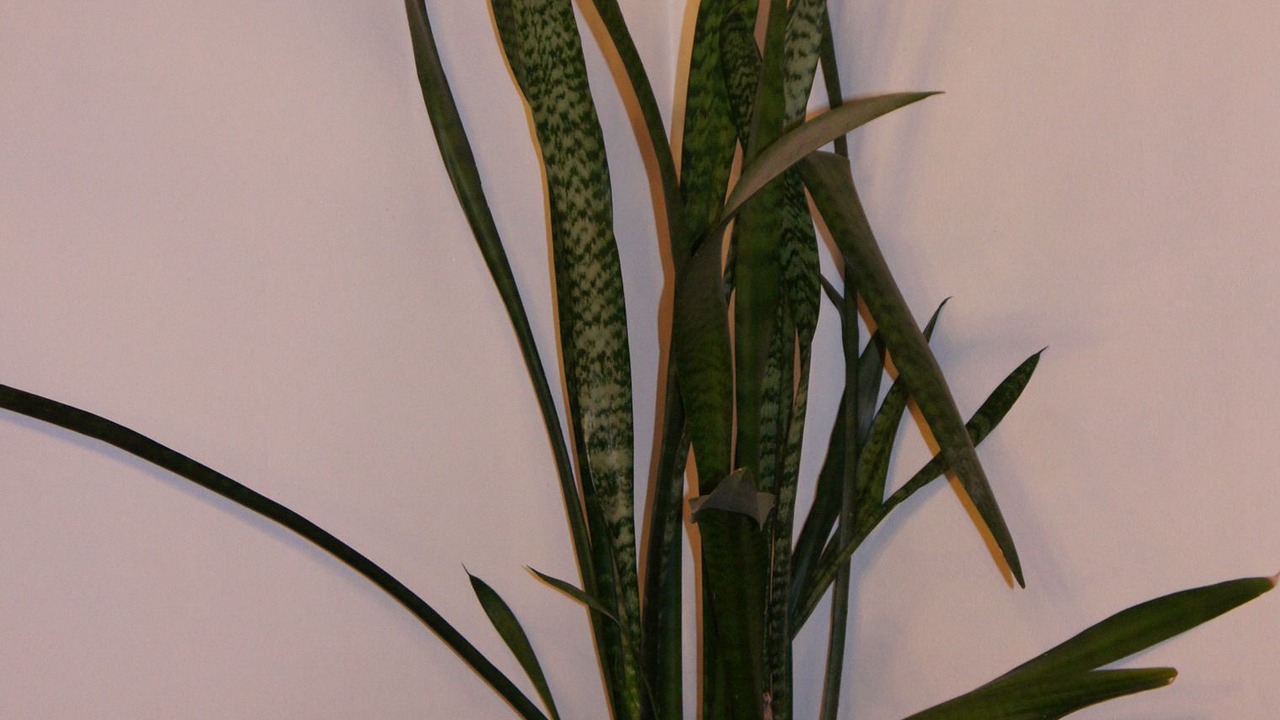 Photo of Others in Germigny-des-Pres