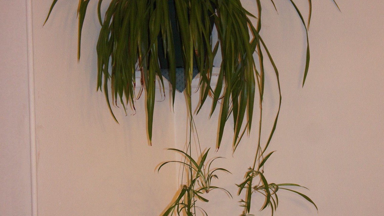 Photo of Others in Germigny-des-Pres