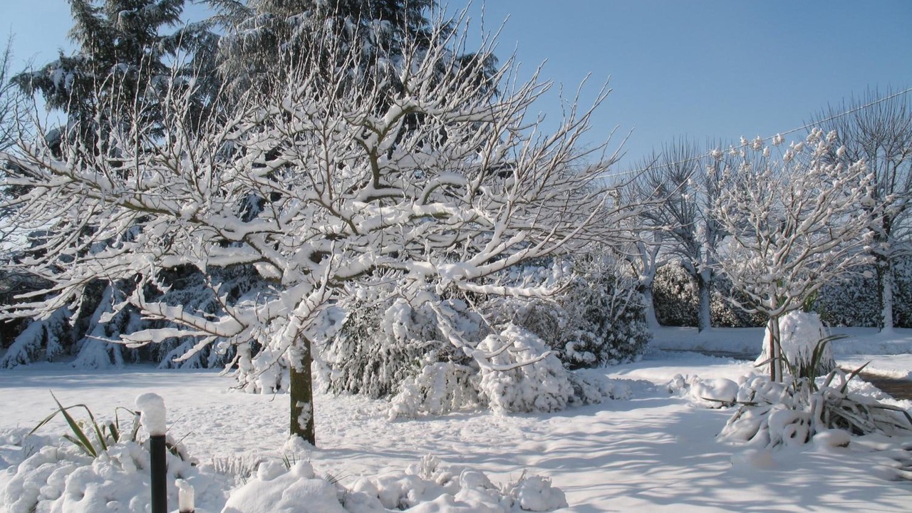 Photo of Outdoor in Bressuire