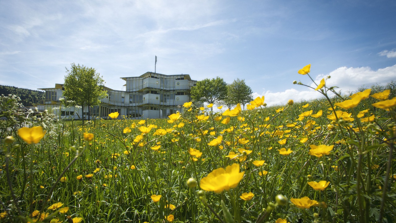 Photo of Outdoor in Tramelan