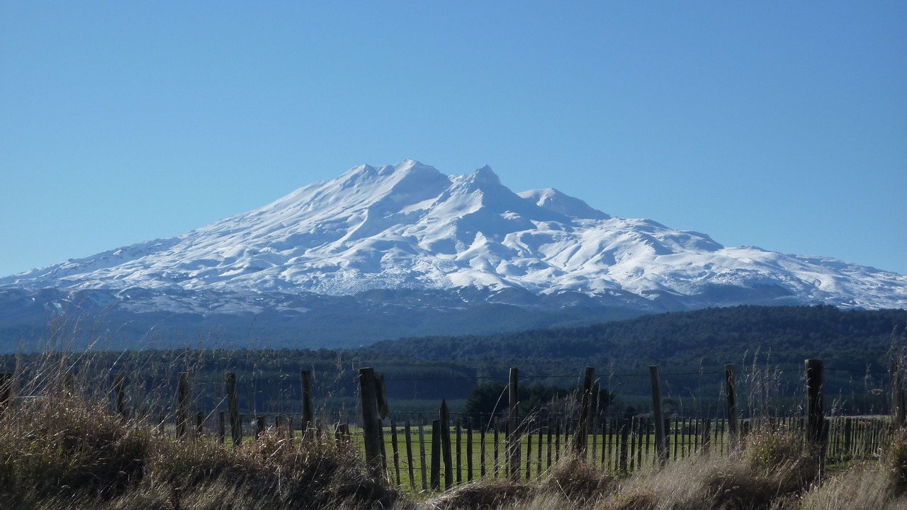 Photo of Others in Tongariro National Park