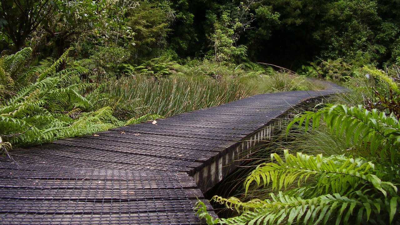 Photo of Others in Tongariro National Park