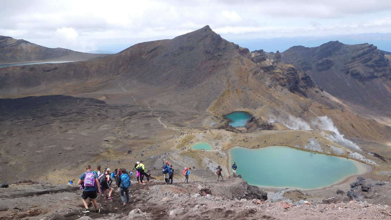 Photo of Others in Tongariro National Park