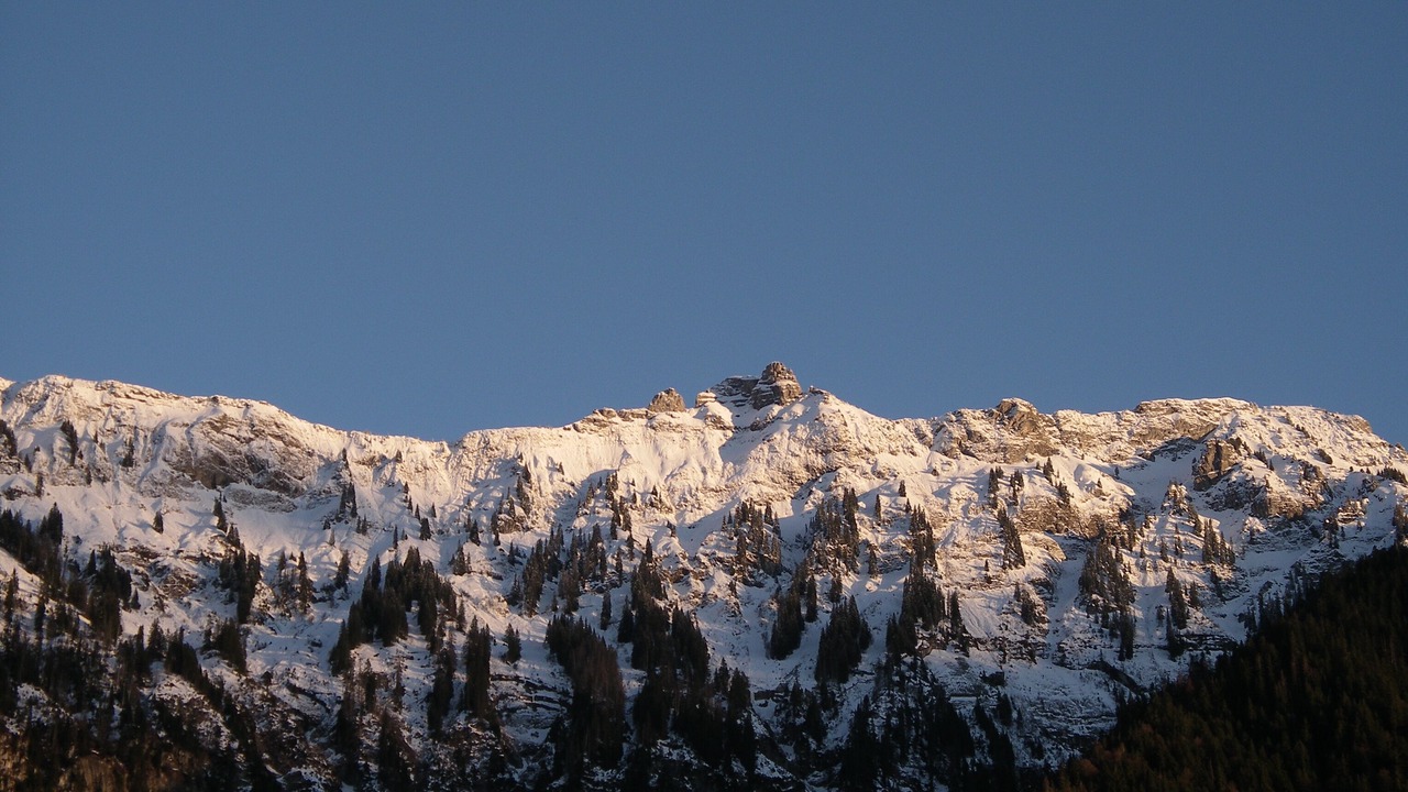 Photo of Others in Boenigen