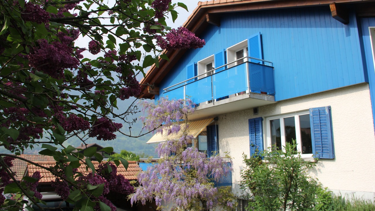 Photo of Outdoor in Boenigen