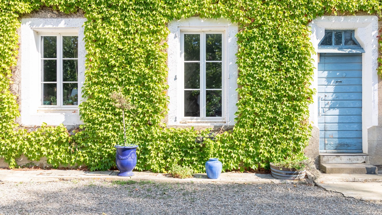 Photo of Others in Salles-d'Aude