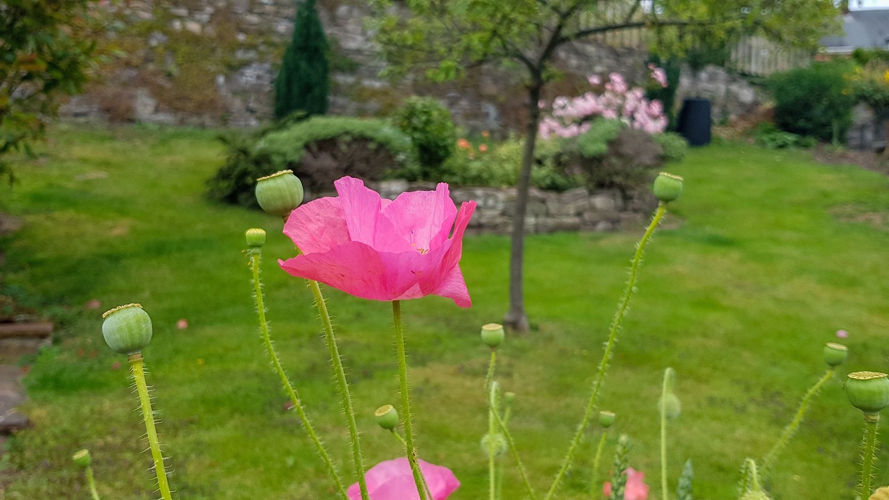 Photo of Outdoor in Gilwern