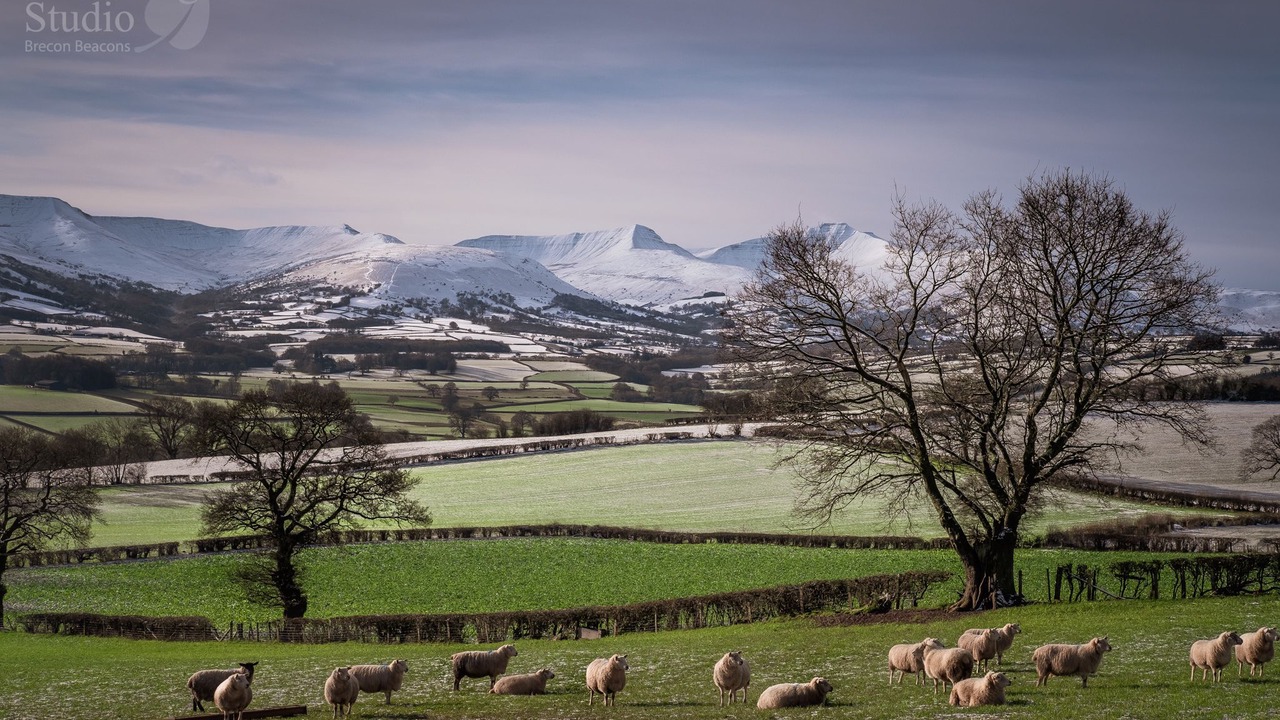 Photo of Others in Gilwern