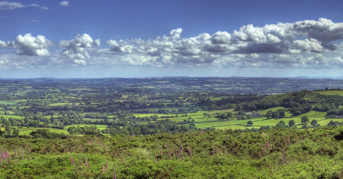 Photo of Others in Hopton Wafers