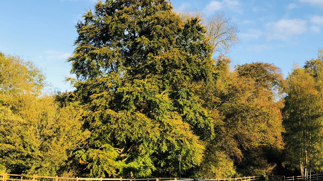 Photo of Outdoor in Hopton Wafers