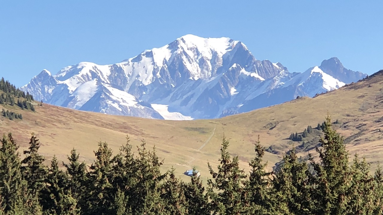 Photo of Outdoor in Outrechaise