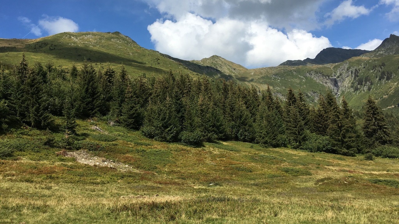 Photo of Others in Outrechaise