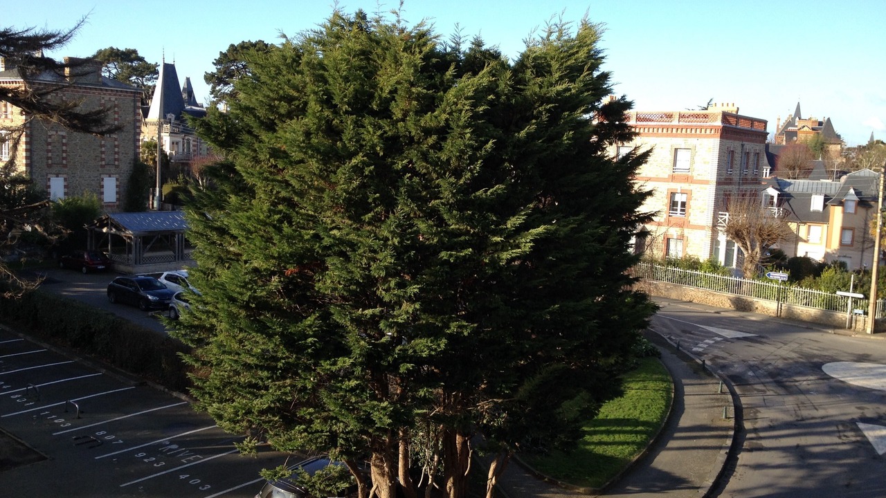 Photo of Outdoor in Dinard