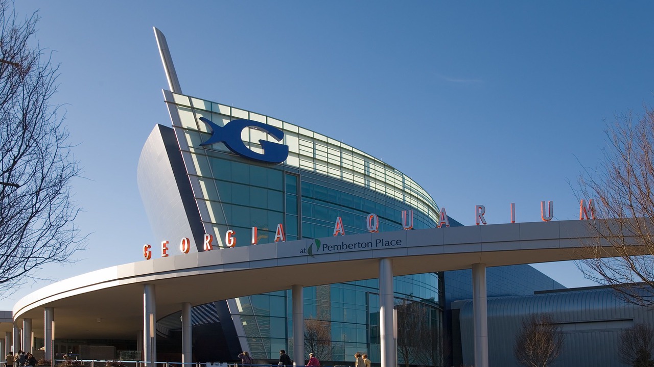 Photo of Others in Peoplestown