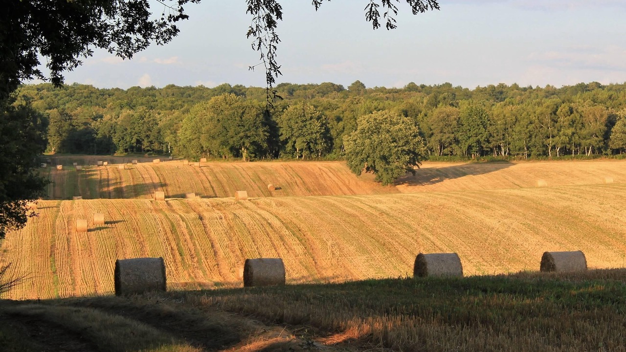 Photo of Others in Rouffignac-Saint-Cernin-de-Reilhac