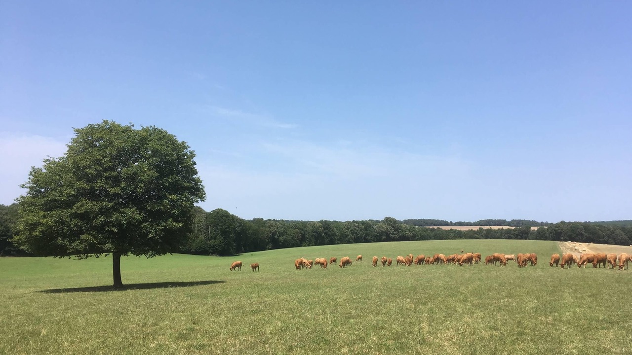 Photo of Others in Rouffignac-Saint-Cernin-de-Reilhac