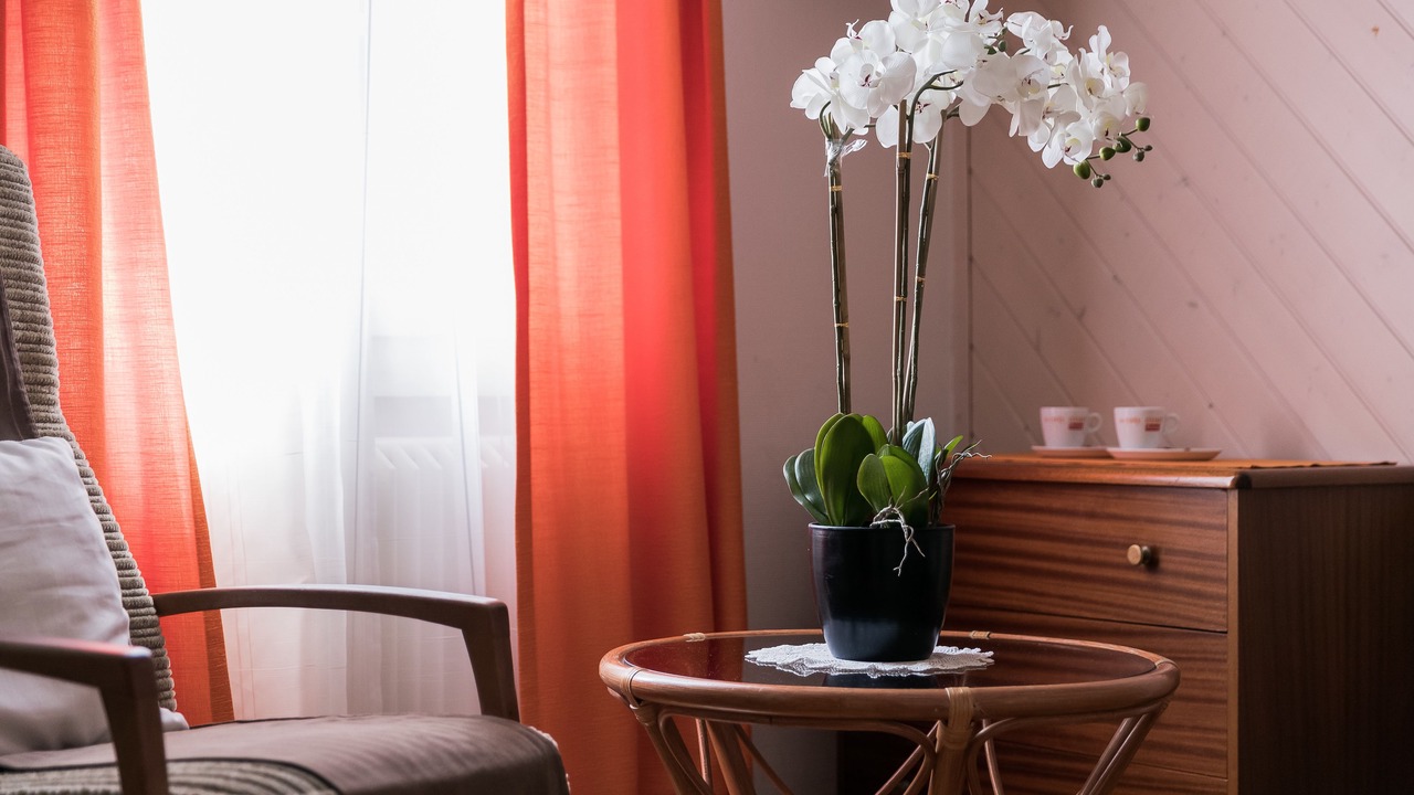 Photo of Others in Corsier-sur-Vevey